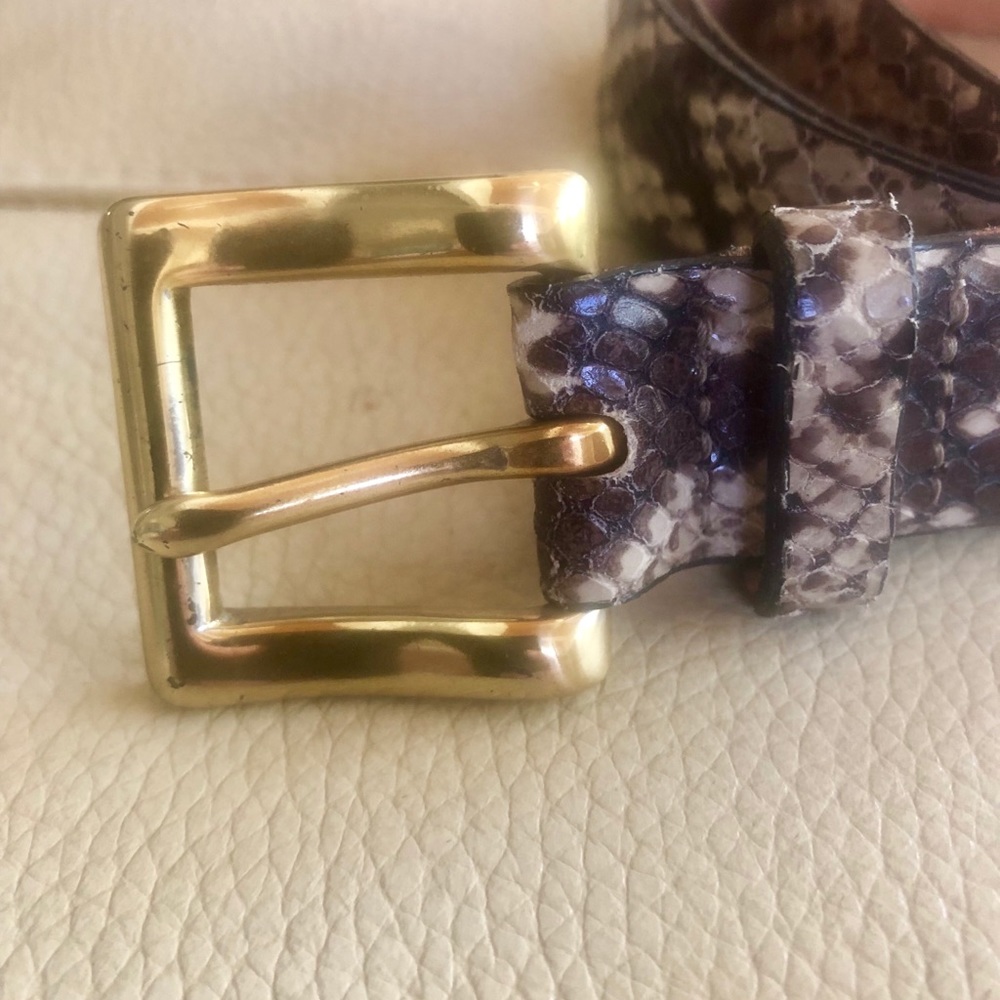 The Limited Gold Buckle Brown Snakeskin Print Belt